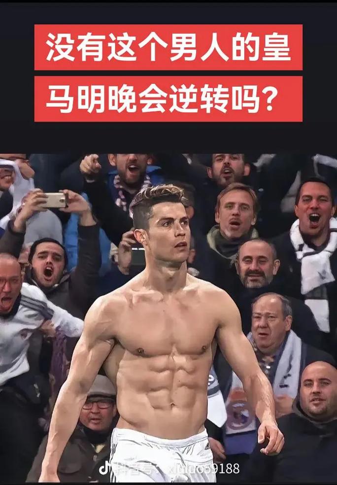 样本本期体